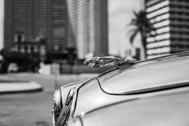 Kasyno Prize Land Bingo Aplikacja Android/iOS